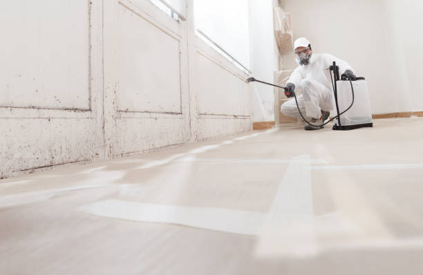 24/7 Emergency Mold Remediation experts in Dublin, VA
