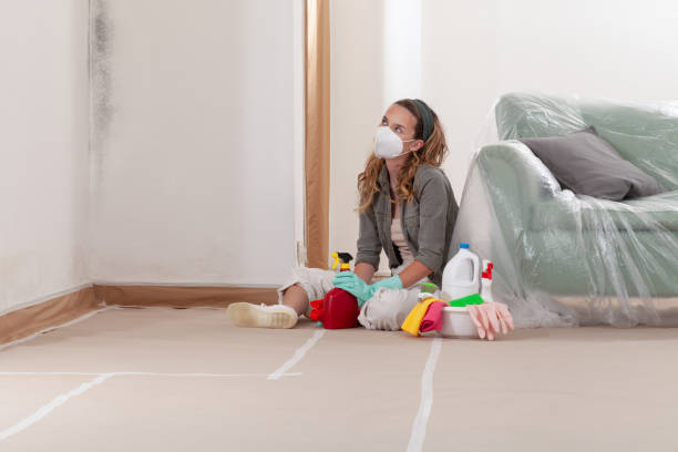 Reliable Mold Remediation contractor in Dublin, VA by 24 Hour Mold Removal